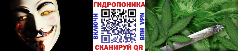 купить  сайты  Южно-Сухокумск  мега   Марихуана SATIVA & INDICA 